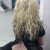 Eve Otele Gelen Escort Ahu Sıra Dışı - Image 3